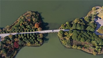 坚持生态优先、绿色发展 促进经济高质量发展